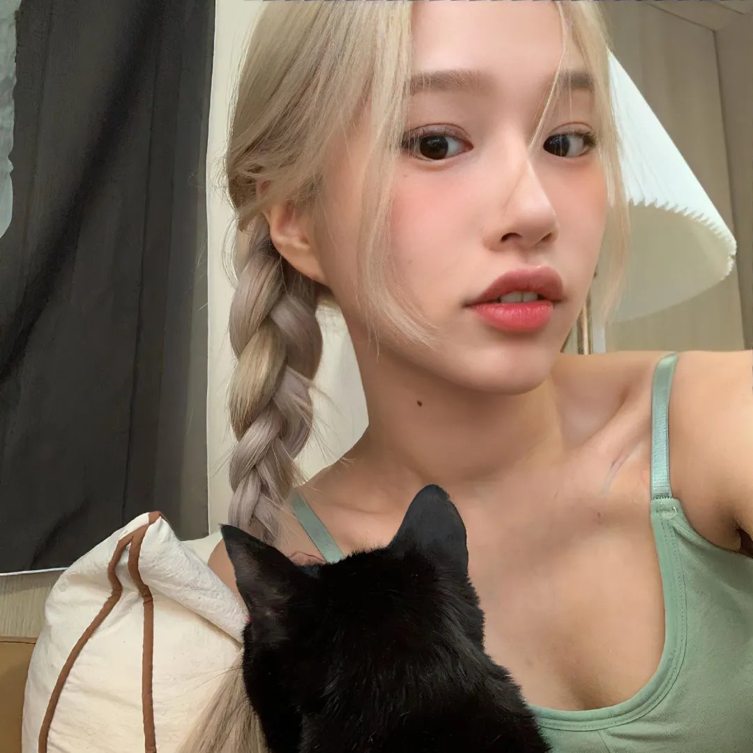 太空狗与涡轮猫